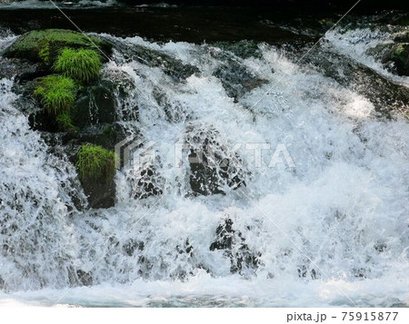 熊本県の清流 菊池渓谷を流れる菊池川の上流の写真素材