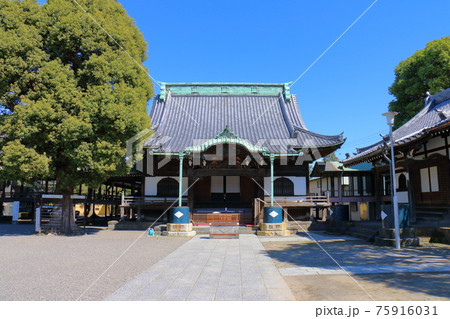 東京都葛飾区柴又の柴又帝釈天本堂 帝釈天題経寺 経栄山題経寺 瑞龍の松 東京都葛飾区柴又の柴又帝釈天本堂 帝釈天題経寺 経栄山題経寺 瑞龍の松 75916031