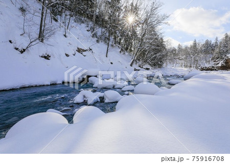 【北海道美瑛町の冬】青空の美瑛川 1月 【北海道美瑛町の冬】青空の美瑛川 1月 75916708