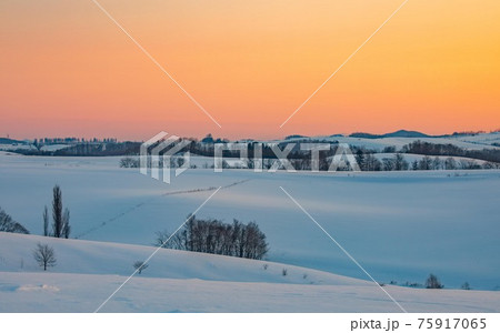 【北海道美瑛町】丘と夕景　1月 75917065