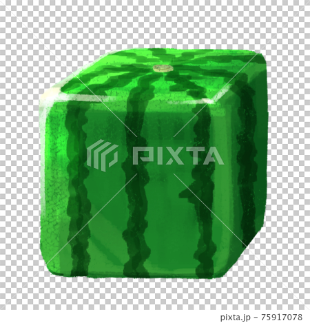 方形西瓜 75917078