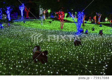 イルミネーション 公園 韓国 75917088
