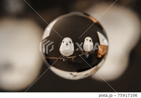 宙玉シマエナガ 75917106