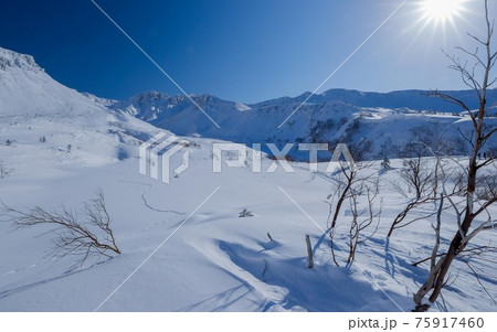 【北海道上富良野町の冬】青空の十勝岳　1月 75917460