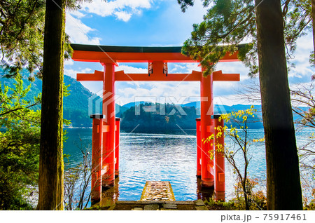 神奈川県 箱根神社 平和の鳥居 神奈川県 箱根神社 平和の鳥居 75917461