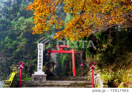 神奈川県 箱根神社　第三鳥居 75917463
