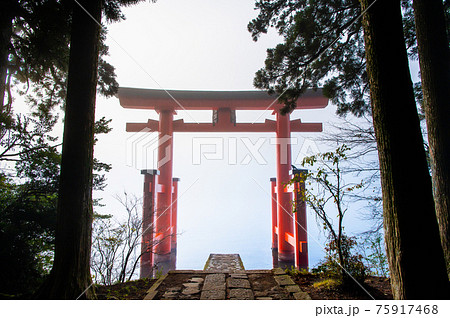神奈川県 箱根神社　平和の鳥居 75917468