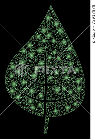 Flare Mesh Carcass Plant Leaf with Flare Spots Flare Mesh Carcass Plant Leaf with Flare Spots 75917878