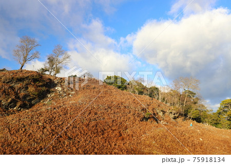 山脈 山岳 ヒルズ 75918134