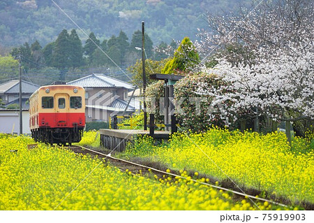 上総川間駅：小湊鐵道｜旅情駅探訪記｜ちゃり鉄.JP | ちゃり鉄.JP