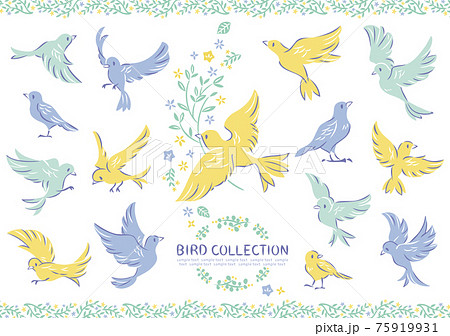 Bird Illustration Set Stock Illustration