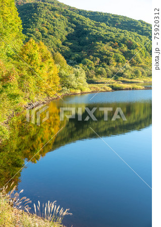 秋元湖 紅葉 リフレクション 稜線 秋元湖 紅葉 リフレクション 稜線 75920312