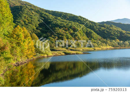 秋元湖　紅葉　リフレクション　稜線 75920313