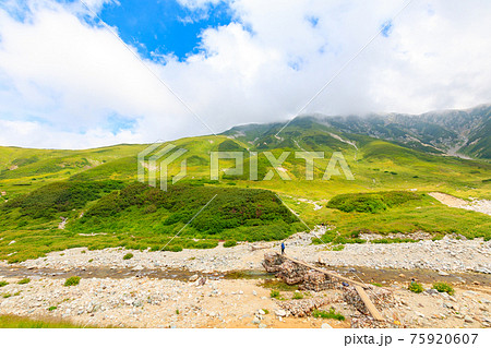 称名川と雷鳥坂へ続く登山道 称名川と雷鳥坂へ続く登山道 75920607
