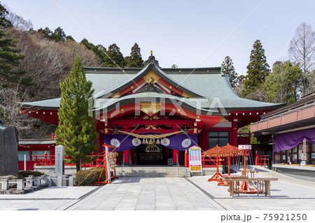 春の宮城縣護国神社　宮城県仙台市 75921250