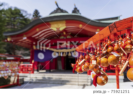 春の宮城縣護国神社　宮城県仙台市 75921251