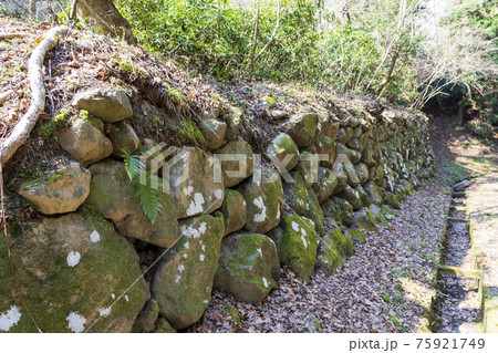 青葉山公園の風景 地震で崩れた古い石垣 宮城県仙台市 青葉山公園の風景 地震で崩れた古い石垣 宮城県仙台市 75921749
