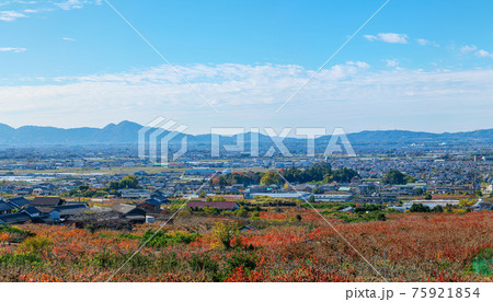 山の辺の道 萱生町からパノラマ 二上山 75921854
