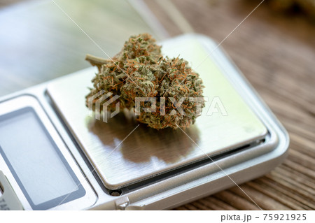 Marijuana flowers are placed on small scales. The scales were placed on the planks.Marijuana flowers have a beautiful trichrome. Marijuana flowers are placed on small scales. The scales were placed on the planks.Marijuana flowers have a beautiful trichrome. 75921925