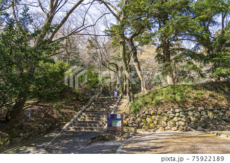 青葉山公園の風景　巽門跡の階段　宮城県仙台市 75922189
