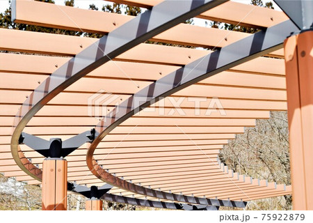 春の公園風景 75922879