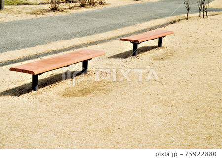 春の公園風景 春の公園風景 75922880