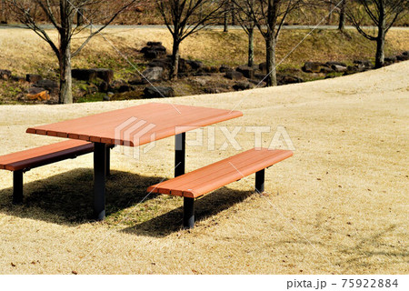 春の公園風景 春の公園風景 75922884