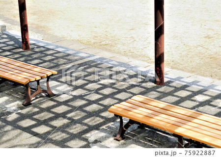 春の公園風景 75922887