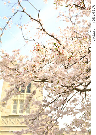 横浜・山手 75924176