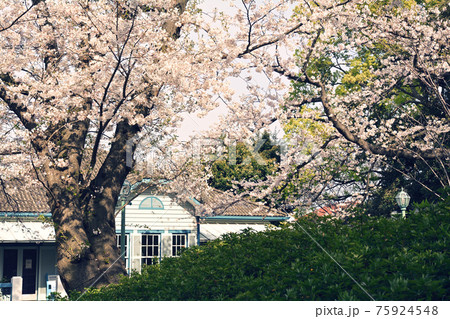横浜・山手公園 横浜・山手公園 75924548