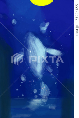 月夜と魚 75924655