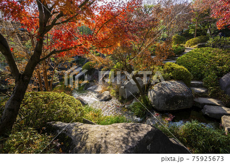 目白庭園 目白庭園 75925673