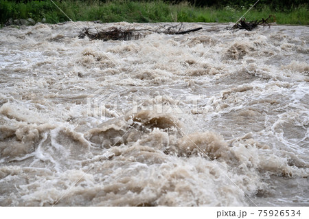 Dirty flood water flowing rapidly in river, pieces of trees at background near shore Dirty flood water flowing rapidly in river, pieces of trees at background near shore 75926534