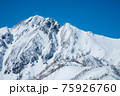 遠見尾根から望む冬の五竜岳 75926760