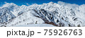冬の遠見尾根からの一大パノラマ 75926763