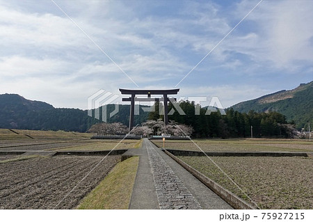 和歌山県 春の熊野本宮大社旧社地「大斎原」大鳥居 和歌山県 春の熊野本宮大社旧社地「大斎原」大鳥居 75927215