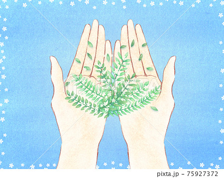 リーフと白い小花と青い背景 リーフと白い小花と青い背景 75927372