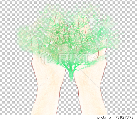 緑の木をのせた手のひら 75927375