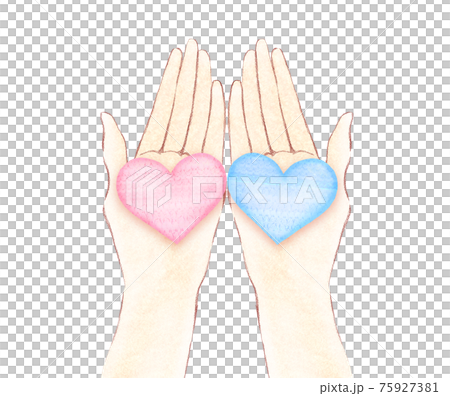 手のひらにのせた2つのハート　恋愛や結婚　男女の産み分け 75927381