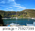 伊豆大島の波浮港 75927399