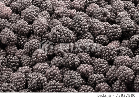 Frozen fresh blackberry. Food background. Top view. 75927980