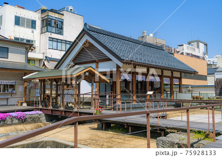 福井市 柴田神社の風景 75928133