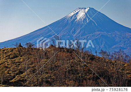 大菩薩峠・親不知ノ頭と富士山 75928176