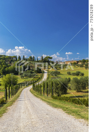 Typical Tuscan landscape near Montepulciano and Monticchielo, Italy 75928289