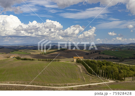 Typical Tuscan landscape in Val d'orcia, Italiy Typical Tuscan landscape in Val d'orcia, Italiy 75928428