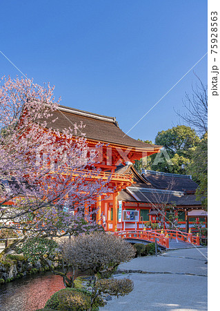 京都 春の上賀茂神社 楼門 京都 春の上賀茂神社 楼門 75928563