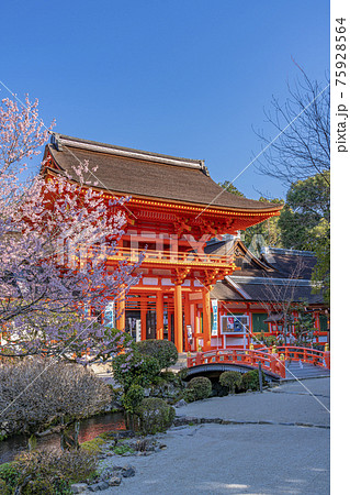京都　春の上賀茂神社　楼門　 75928564