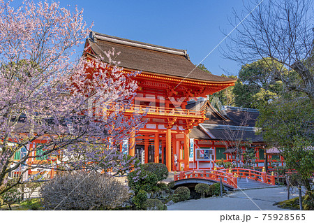 京都　春の上賀茂神社　楼門　 75928565