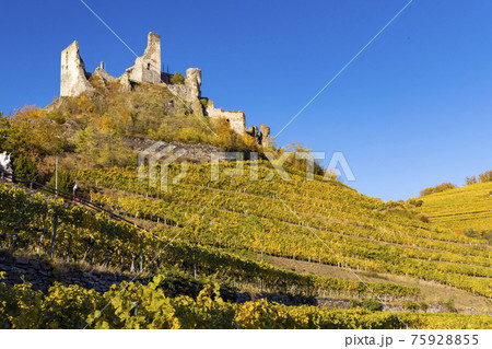 Ruins of Senftenberg, Krems-Land District, Lower Austria, Austria 75928855
