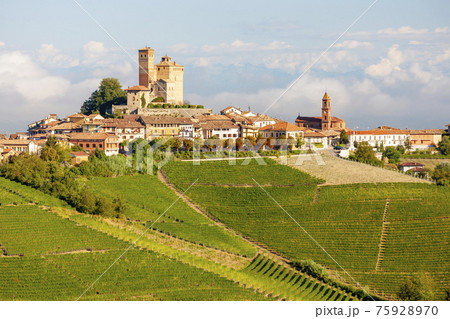 View of the village of Serralunga d`Alba and the wonderful Langa, italy 75928970